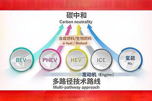 马尔卡宁谈卡莱尔说他像诺维茨基：这给了我更多动力